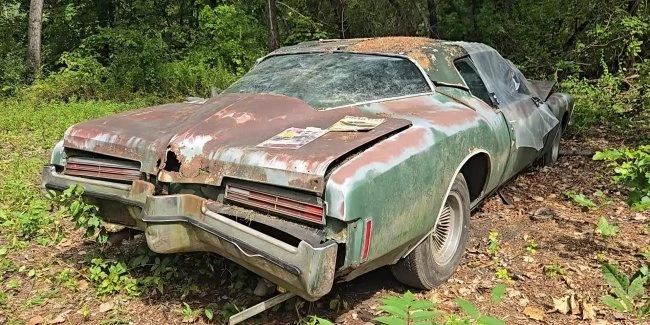 У лісі знайшли згнилий Buick Riviera з кузовом типу «хвіст корабля»